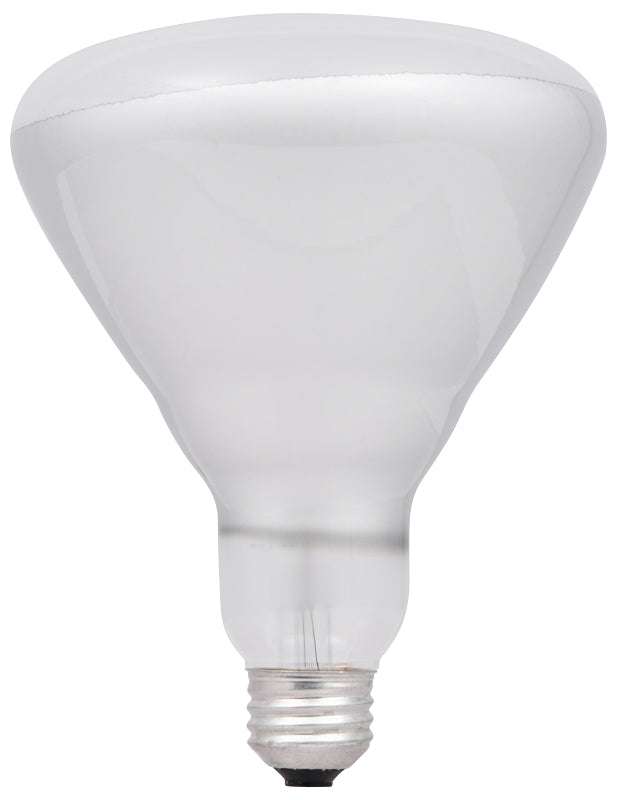 15678 BULB INCAN BR40 FRSTD 65