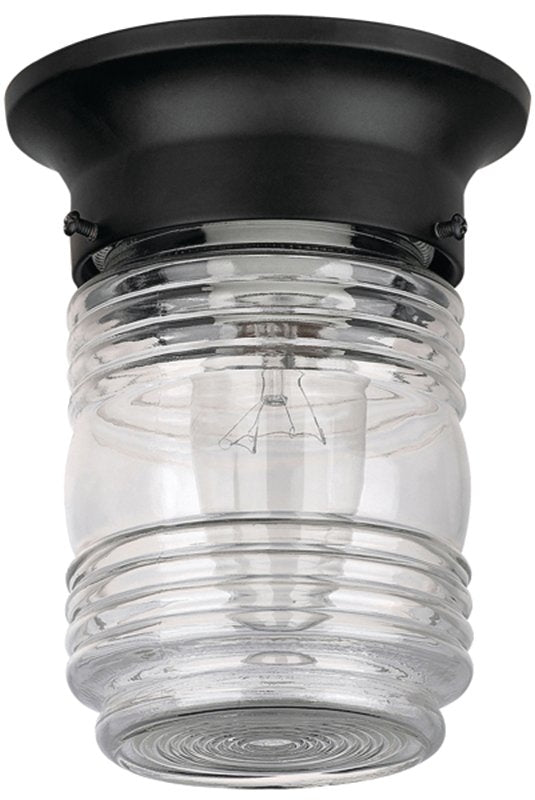 Canarm IOL105BK Outdoor Light, Incandescent Lamp, Aluminum Fixture, Black