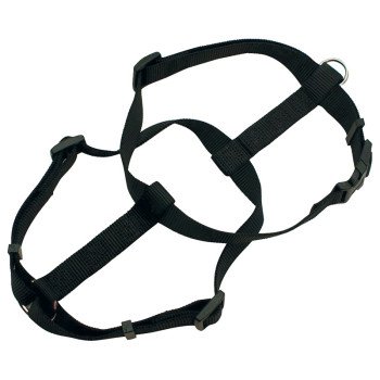 22110 ADJ BLK HARNESS 1X28-36