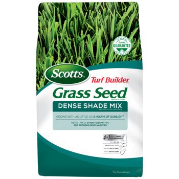 18348 SEED GRASS DENSE SHADE 3