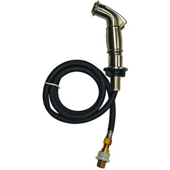 Danco 89216 Side-Spray and Hose, Plastic, Brushed Nickel