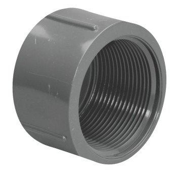 Lasco 848010BC Pipe Cap, 1 in, FIP, PVC, SCH 80 Schedule