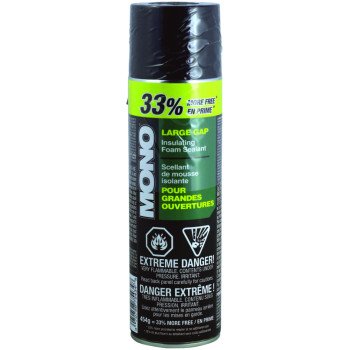 75434 SEALANT FOAM BONUS 454G 