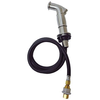 Danco 89215 Side-Spray and Hose, Plastic, Chrome