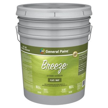 70010-20 PAINT EX FL WH PAIL  