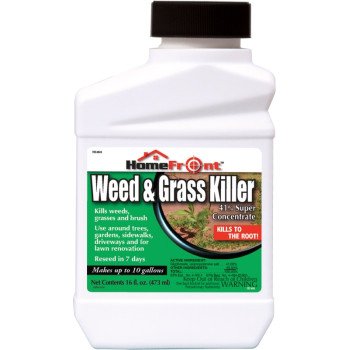 107460 KILLER WEED/GRASS PINT 