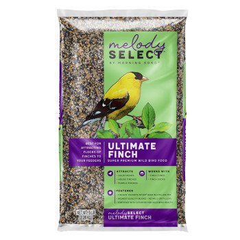 Morning Song Melody Select Series 14057 Ultimate Finch, Premium, 5 lb Bag