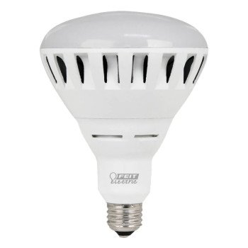 BR40/DM2500/3KLEDG2 BULB LED  