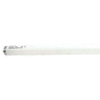 Sylvania 21371 Fluorescent Bulb, 40 W, T12 Lamp, Medium Lamp Base, 2150 Lumens, 4100 K Color Temp, Cool White Light