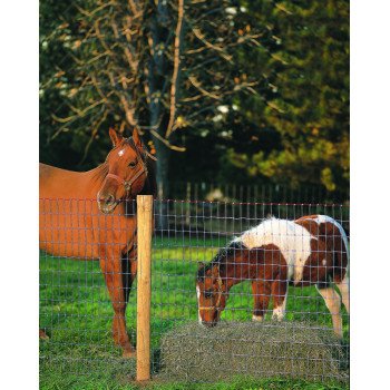 Red Brand Square Deal Tradition 70318 Horse Fence, 100 ft L, 72 in H, Non-Climb Mesh, 2 x 4 in Mesh, 12.5 ga Gauge