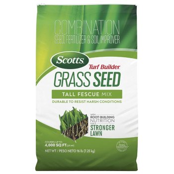 SEED GRASS TALL FESCUE 16LB