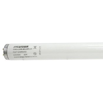 Sylvania 22029 Fluorescent Bulb, 20 W, T12 Lamp, Medium G13 Lamp Base, 480 Lumens, 9000 hr Average Life