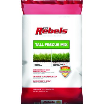 SEED REBEL TALL FESCUE MX 20LB