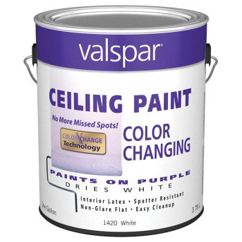 1420 CLR CHANGE CEIL PAINT GAL