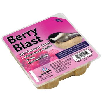 Heath DD-15 Suet Cake, All-Season, Berry, 11.25 oz