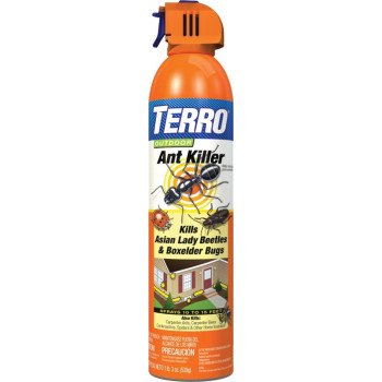 Terro T1700-6 Outdoor Ant Killer, Liquid, Spray Application, 19 oz, Aerosol Can