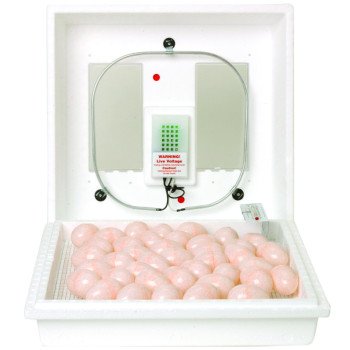 Little Giant 9300 Egg Incubator, 110 V, 41 Large Chicken Eggs Egg, Styrofoam