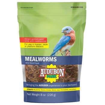 Audubon Park 12816 Mealworms, 8 oz