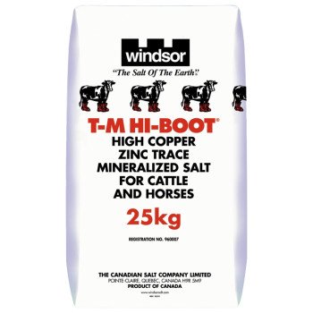 961 SALT BG HI-BOOT EAST 25KG 