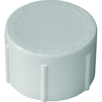 IPEX 435426 Pipe Cap, 1-1/4 in, FPT, White, SCH 40 Schedule, 150 psi Pressure