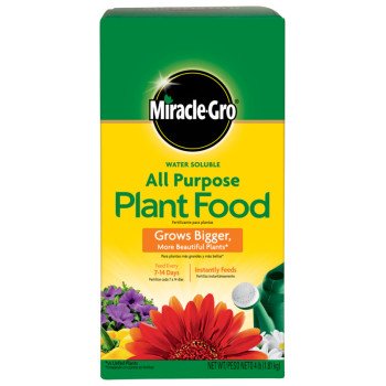 Miracle-Gro 170101 Water Soluble All-Purpose Plant Food, 4 lb Box, Solid, 24-8-16 N-P-K Ratio