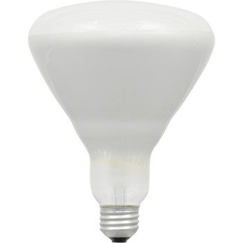 10079 BULB HALOGEN FLOOD 50W  