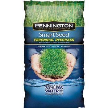 SEED PERENNIAL RYE BLEND 3LB