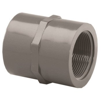 Lasco 835012BC Pipe Adapter, 1-1/4 in, Slip x FIP, PVC, SCH 80 Schedule