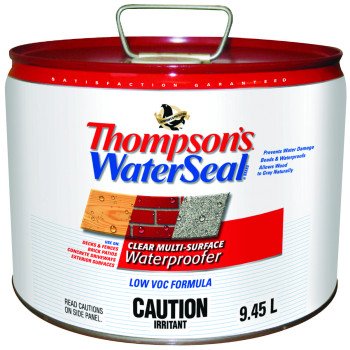 Thompson's WaterSeal THCP40011-02 Water Sealant, Clear