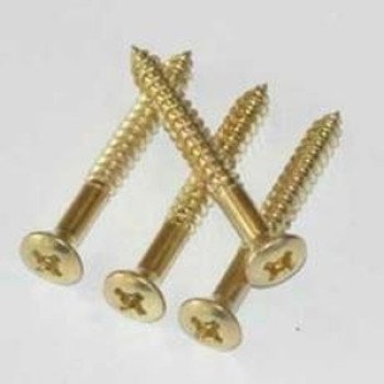 Loxcreen SCREWS-G 24PK Moulding Screw, Metal