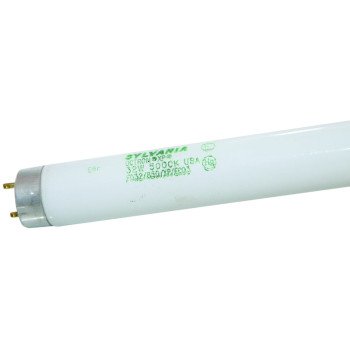 22026 F032T8 ECO FLUOR BULB   