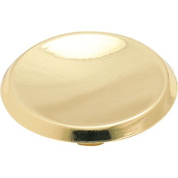 BP34133 BRT BRS MODERN KNOB   