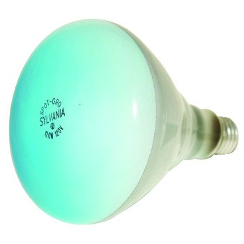 15836 BULB BR40 INCAN SPOTGRO 