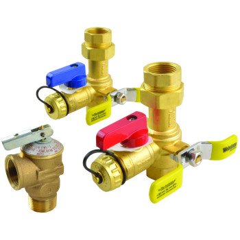 Richmond RTG20220AB Tankless Service Valve Kit, Brass