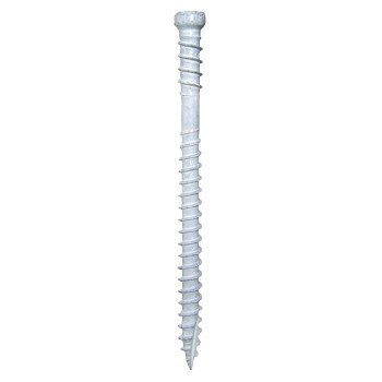 SCREW FIN/TRIM WHT 8X2-1/2IN