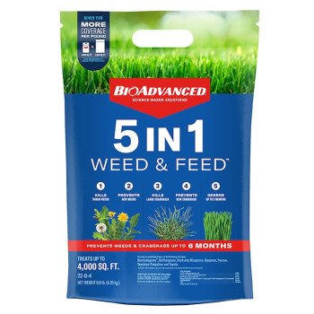 BioAdvanced 704860L Weed and Feed Fertilizer, 9.6 lb Bag, 22-0-4 N-P-K Ratio