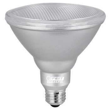 PAR38/850/LEDG11/CAN BULB 5K  