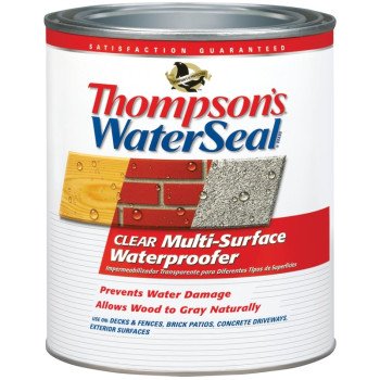 Thompson's WaterSeal TH.024104-14 Waterproofing Stain, Clear, 1 qt, Can