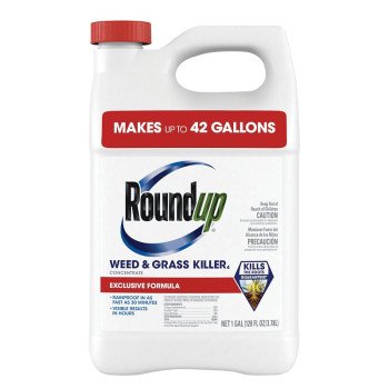 Roundup 5376804 Concentrated Weed and Grass Killer, Liquid, 1 gal, Bottle