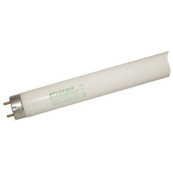 22179 FO38T8SS 4' FLUO LAMP   