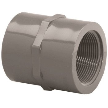 Lasco 830007BC Pipe Coupling, 3/4 in, FIP, PVC, SCH 80 Schedule