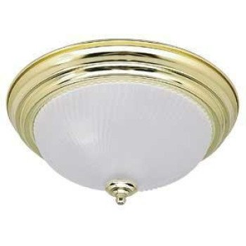 Canarm IFM211BPT Ceiling Light Fixture, 2-Lamp, Steel Fixture, Brushed Pewter Fixture