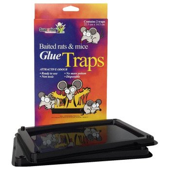 12402 CRD/2 RAT GLUE TRAP     