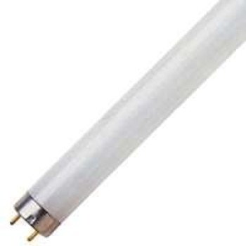 Feit Electric F8T5/CW Fluorescent Bulb, 8 W, T5 Lamp, Miniature G5 Lamp Base, 320 Lumens, 4100 K Color Temp