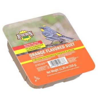 Audubon Park 13768 Orange Flavored Suet, 11.25 oz