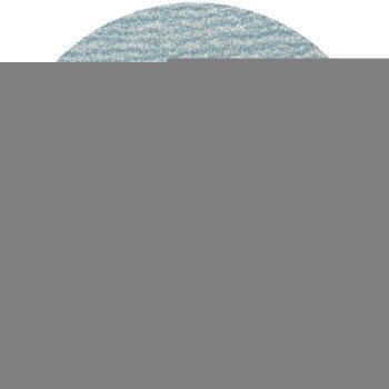 Norton ProSand Series 07660768360 Vacuum Disc, 5 in Dia, Coated, 150 Grit, Fine, Ceramic Alumina Abrasive, Paper Backing