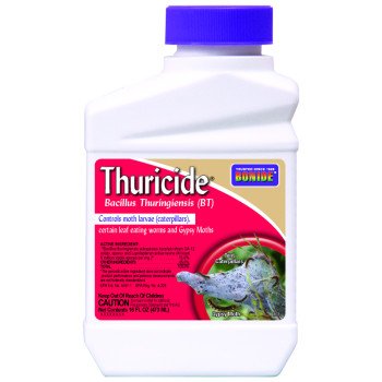 Bonide Thuricide (BT 803 Thuricide Bacillus Thuringiensis, Liquid, 1 pt Bottle