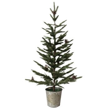 44636 TREE CYPRESS FROSTED 3FT