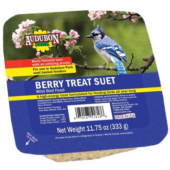 Audubon Park 13066 Berry Treat Suet 11.7 5oz