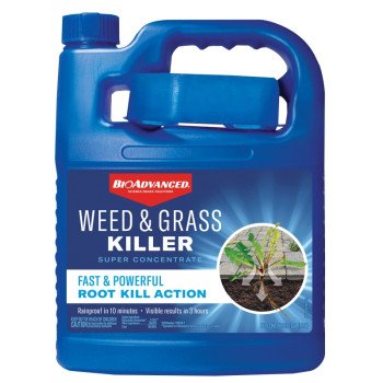 BioAdvanced 704196A Super Concentrated Weed and Grass Killer, Liquid, Blue, 64 oz Bottle